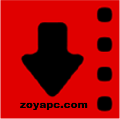Robin YouTube Video Downloader Pro Crack-zoyapc.com